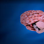 Van egy rejtett része az agynak, amit csak most fedeztek fel, a Parkinson-kór kezelésében is segíthet